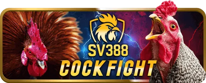 Quà tặng sinh nhật đặc biệt cho VIP bet169 khuyến mãi